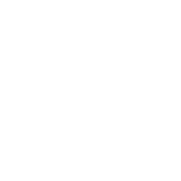 Democratic National Committee